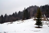 126 Szczawnica 28.02 - 01.03.2015 r.